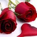Profile Picture of Amirah Mohammed (@Amirah-Mohammed) on Facebook