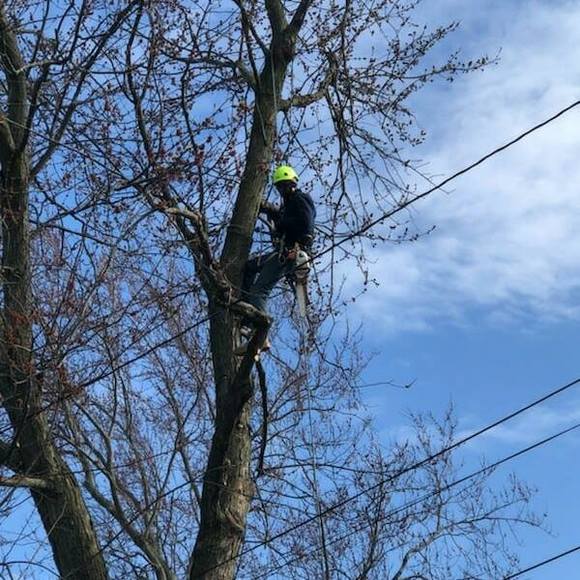 Profile Picture of Wiley Franklin (@wiley_franklin) on Poshmark