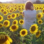 Profile Picture of Charlene Hansen (@cdmhansen) on Instagram