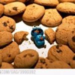 Profile Picture of Josephine Weber (@josephineweber8261) on Instagram