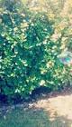 Profile Picture of   Sandra Sailer... (@sandrasailer1) on Tiktok
