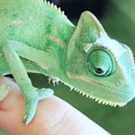 Profile Picture of carl krusee (@carl_krusee) on Instagram