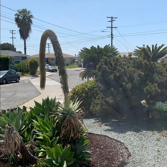 Profile Picture of Borah Tellames (@poshbora) on Poshmark