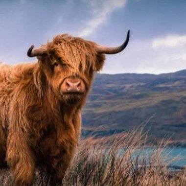 Profile Picture of MissMack (@HepnerMarissa) on Twitter