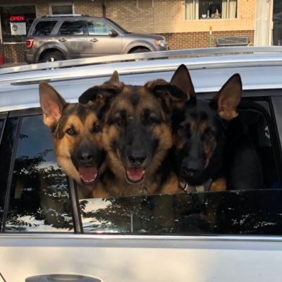 Profile Picture of Danielle Hurt (@DanielleHurt16) on Twitter