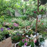 Profile Picture of Ramin Shahidi (@shahidiramin) on Instagram