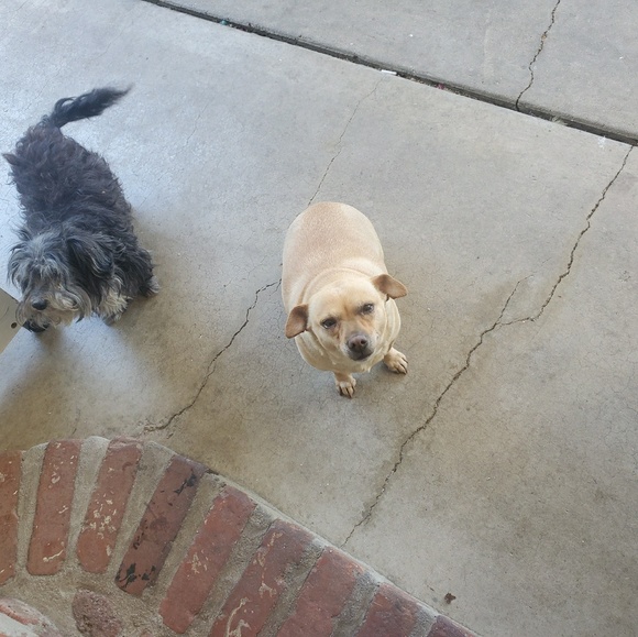 Profile Picture of Kim Bradley (@kym781) on Poshmark