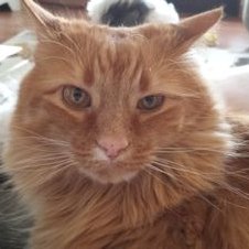 Profile Picture of David Youmans (@dyoumans78) on Twitter