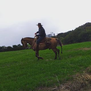 Profile Picture of Daniel Dross (@daniel.dross.50) on Facebook