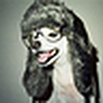 Profile Picture of Corey Jones (@winandtonic) on Flickr