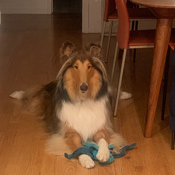 Profile Picture of Peter Karp (@peterkarp) on Poshmark