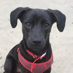 Profile Picture of Maxine Peele (@maxinepeele) on Instagram