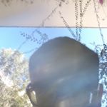 Profile Picture of Robin Flores (@robinflores25) on Instagram