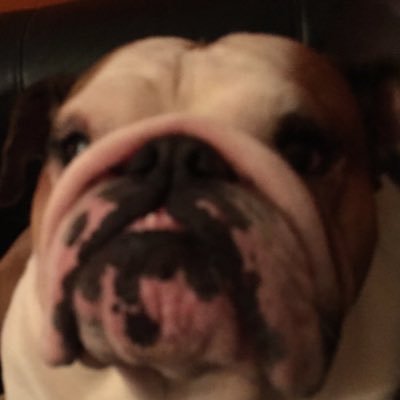 Profile Picture of Len (@Len_faulkner) on Twitter