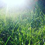 Profile Picture of cnp/sarah waldrep (@cnp_cool_nature_pics) on Instagram