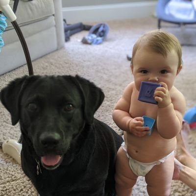 Josh Pasek - Twitter Profile Picture of Josh Pasek (@JPasek4) on Twitter