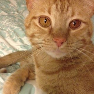 Maxx Darling - Facebook Profile Picture of Maxx Darling (@maxx.darling) on Facebook