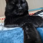 Profile Picture of Seller Stephanie (@Seller-Stephanie) on Facebook