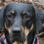 Profile Picture of Darrin Whaley (@darrin.whaley.9) on Instagram