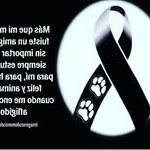 Profile Picture of Cindy Rosales (@cindyrosba_) on Instagram