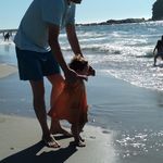 Profile Picture of Daniel Rudloff Muñoz (@danielrudloffmunoz) on Instagram