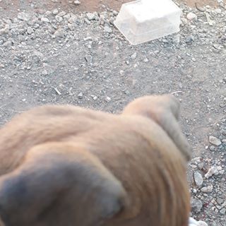 Profile Picture of Kevin Male (@kevin.male.1675) on Facebook