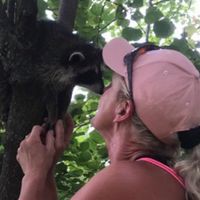 Profile Picture of Robin Palmer-clemmons (@robin-palmer-clemmons) on Quora