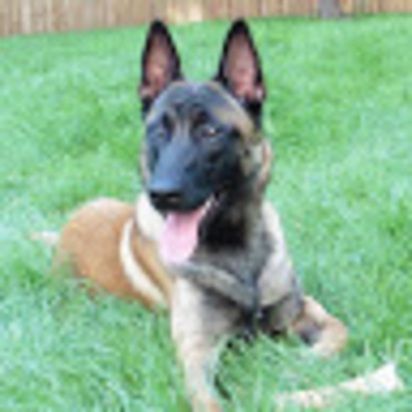 Profile Picture of Dog day all day Dog day all day (@ikepola) on Poshmark