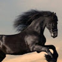 Profile Picture of Matthew Crumb (@matthew-crumb-3) on Quora