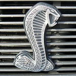 Profile Picture of Daniel Jiménez (@danieljiga) on Flickr