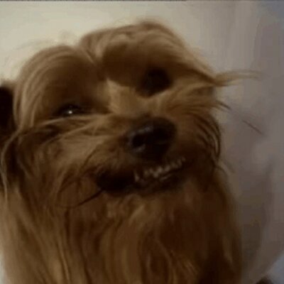 Profile Picture of Joseph McMillan (@Joseph1975pnw) on Twitter