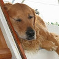 Profile Picture of Martin Lomas (@martin-lomas-13) on Quora