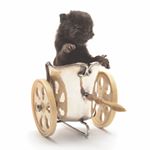 Profile Picture of Brad Holloway (@brad__holloway) on Instagram