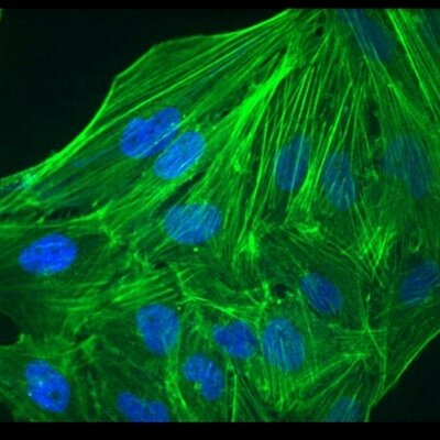 Profile Picture of John Maris (@maris_john) on Twitter