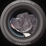 Profile Picture of Gary Durrett (@cagedkennels) on Instagram