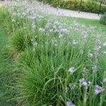 Profile Picture of Rigney (@rigneyemerickj) on Instagram