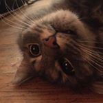 Profile Picture of James Ensbury (@jamesensbury) on Instagram
