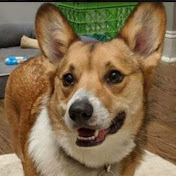 Profile Picture of Jonathan Stern (@jonathanstern5460) on Youtube