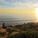 Profile Picture of Tyler Dolphy (@tdolphy) on Pinterest