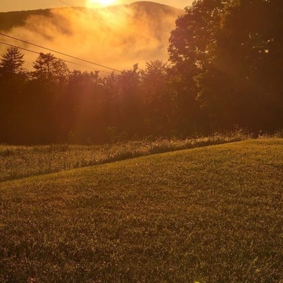 Lori Sorrell - Poshmark Profile Picture of Lori Sorrell (@lorisorrell75) on Poshmark