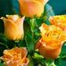Profile Picture of Michael Wiskur (@michael.wiskur.54) on Facebook