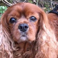 Profile Picture of Amy Vee (@amy-vee-15) on Quora