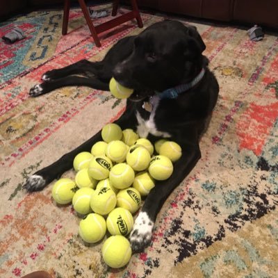 Profile Picture of Zach Holmes (@Holmesy_6) on Twitter