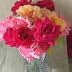 Profile Picture of Randa Sleiman (@randa_s1) on Instagram