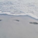 Profile Picture of live life like never before😎 (@aidan_john_coulthard) on Instagram