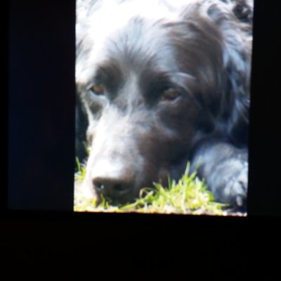 Profile Picture of Mark Crowther (@MarkCrowther13) on Twitter