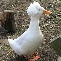 Profile Picture of Mitchell Price (@mitchell-price-17) on Quora