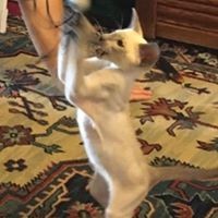 Profile Picture of Joseph Little (@joseph-little-17) on Quora