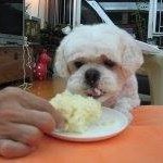 Profile Picture of Kenneth Sung (@sungkenneth) on Instagram