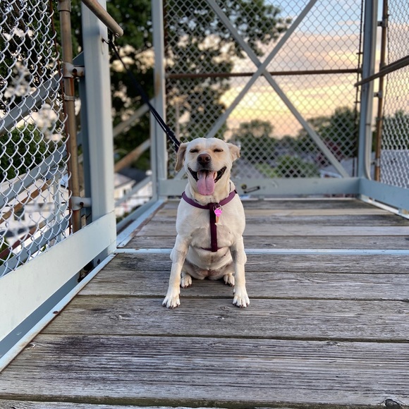 Profile Picture of Taylor Theiling (@taylor_theiling) on Poshmark